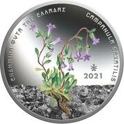 5 Euros Campanula Saxatalis reverse image