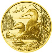 100 Euros Mallard duck, Austria, 2018 reverse image