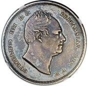3 Guilder - William IV obverse image