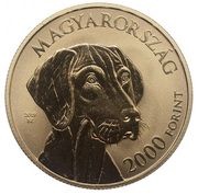 2000 Forint Magyar Vizsla obverse image