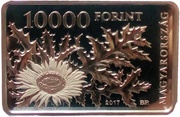 10 000 Forint Bükk National Park obverse image