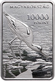 10 000 Forint Kiskunság National Park obverse image
