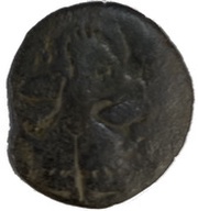 Æ Stater - Sugandha Rani reverse image