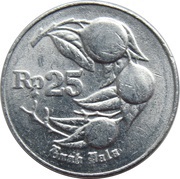 25 Rupiah, Indonesia, 1991-1996 reverse image