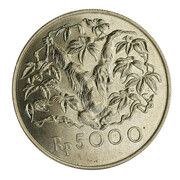 5000 Rupiah Orangutan reverse image