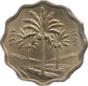 5 Fils reverse image