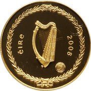100 Euros International Polar Year obverse image
