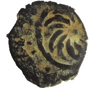 Fals - al-Nāṣir Muhammad I Hamah Mint, Islamic states, 1310-1341 reverse image