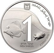 1 New Sheqel Coral reef - Eilat obverse image