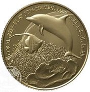 10 New Sheqalim Coral reef - Eilat, Israel, 2013 reverse image