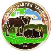 1000 Francs CFA Connochaetes Taurinus, Ivory Coast, 2006 reverse image