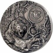 5000 Francs CFA Grizzly obverse image
