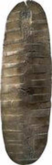 Chōgin "Gokuyō Chōgin" obverse image
