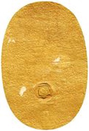 1 Ryō "Suruga Sumikaki Koban" reverse image
