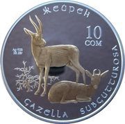 10 Som Goitered Gazelle reverse image