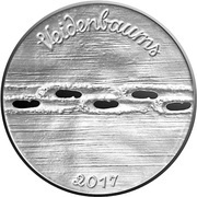 2½ Euros Eduards Veidenbaums (coin B) reverse image