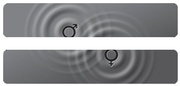 10 Euros Gender Equality, Lithuania, 2019 reverse image