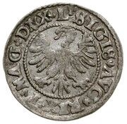 ½ Groat półgrosz - Sigismund II August, Lithuania, 1545-1546 reverse image