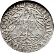 ½ Groat półgrosz - Sigismund II August, Lithuania, 1546-1569 reverse image