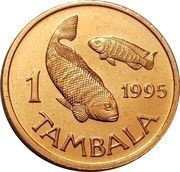 1 Tambala non-magnetic reverse image