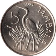 5 Tambala reverse image
