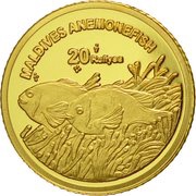 20 Rufiyaa Anemonefish, Maldives, 2011 reverse image