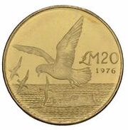 20 Liri Storm Petrel bird reverse image