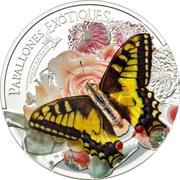 5 Diners Swallowtail Butterfly, Andorra, 2013 reverse image