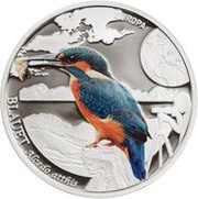 5 Diners Eurasian Kingfisher, Andorra, 2014 reverse image