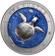 5 Dollars Sea Turtle reverse image