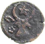 ½ Groshen - Petru II Mușat obverse image