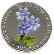 50 Lei Anemone hepatica, Moldova, 2021 reverse image