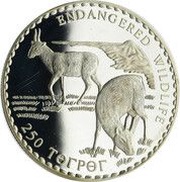 250 Tögrög Saiga Antelope reverse image