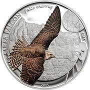 250 Tögrög Saker falcon, Mongolia, 2015 reverse image