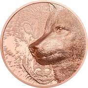250 Tögrög Mystic Wolf, Mongolia, 2021 reverse image