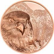 250 Tögrög Saker Falcon, Mongolia, 2023 reverse image