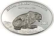 500 Tögrög Snow Leopard reverse image