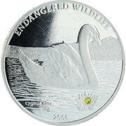 500 Tögrög Swan reverse image