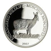 500 Tögrög Siberian musk deer, Mongolia, 2007 reverse image
