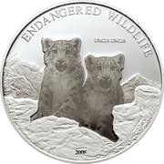 500 Tögrög Snow Leopards, Mongolia, 2008 reverse image
