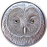 500 Tögrög Owl, Mongolia, 2011 reverse image