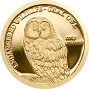 500 Tögrög Owl, Mongolia, 2011 reverse image