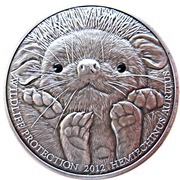 500 Tögrög Long-eared Hedgehog reverse image
