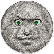 500 Tögrög Otocolobus Manul reverse image