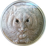 500 Tögrög Campbell's Hamster, Mongolia, 2015 reverse image