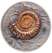 500 Tögrög Ammonite, Mongolia, 2015 reverse image