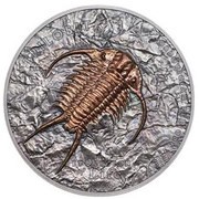 500 Tögrög Trilobite, Mongolia, 2016 reverse image