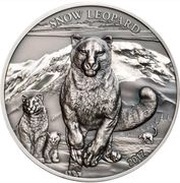 500 Tögrög Snow Leopard, Mongolia, 2017 reverse image