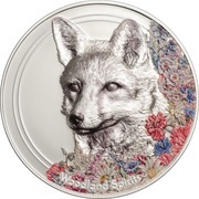 500 Tögrög Woodland Spirits Fox, Mongolia, 2018 reverse image