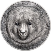 500 Tögrög Mongolian Gobi Bear, Mongolia, 2019 reverse image